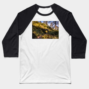 Hiking trail and a tree tunnel Baseball T-Shirt